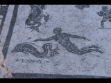 00341 ostia - regio ii - insula ii - terme dei cisiarii (ii,ii,3) - frigidarium (2, c) - mosaik - delphin - nereide - 01-2024.jpg